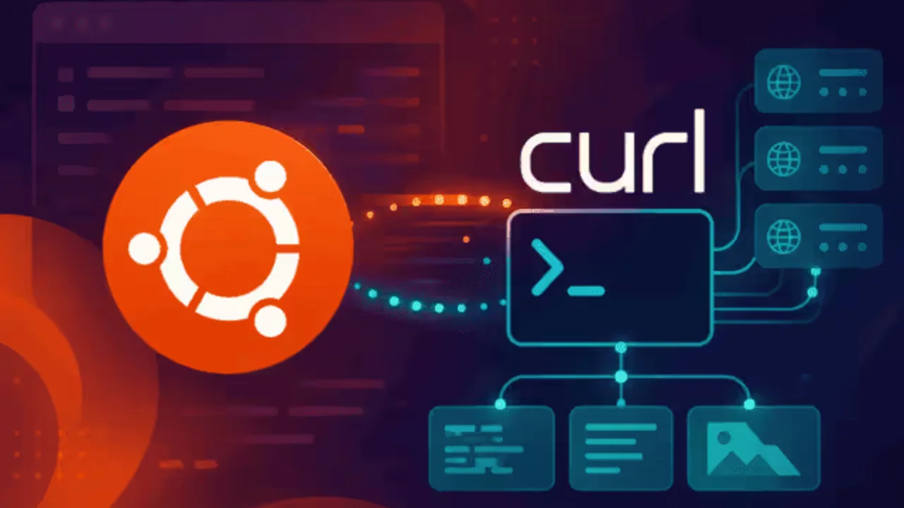 cURL cheatsheet for API developers