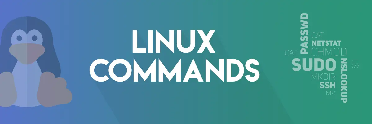 Linux Commands You Should Master